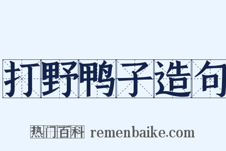 打野鸭子造句是什么意思的图片